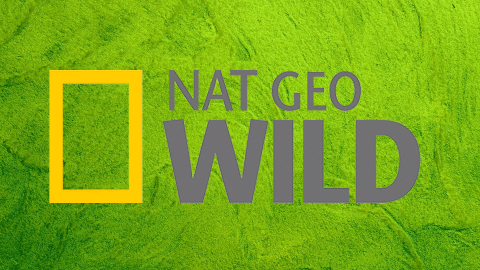 National Geographic Wild HD